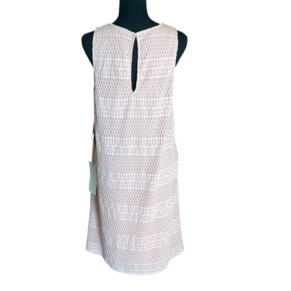 Adrianna Papell Blush Pink Textured Silk Shift Dress Size 10 - Picture 6 of 10